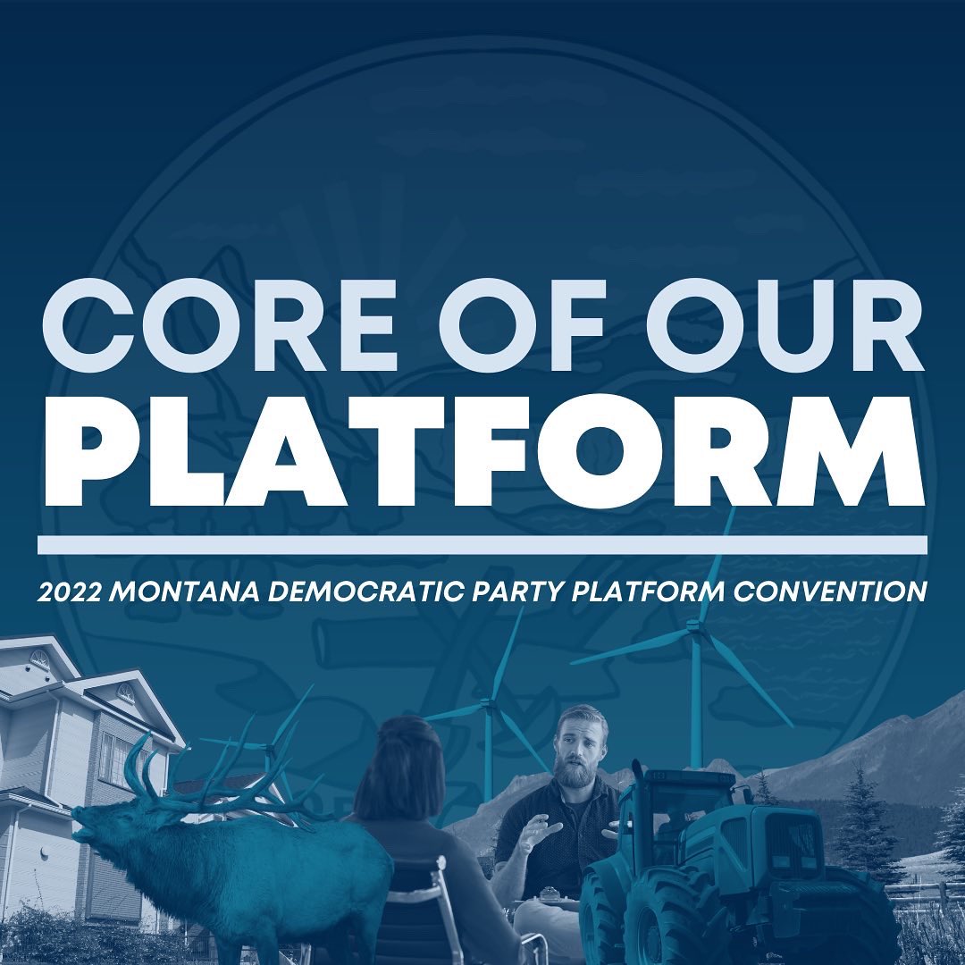 democrat-platform-focuses-on-freedom-what-the-funk